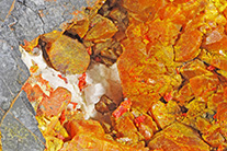 Orpiment (x18)