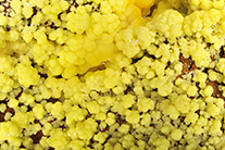 Mimetite (x18) - Mexique