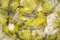 Muscovite sur Albite (x15) - Brésil